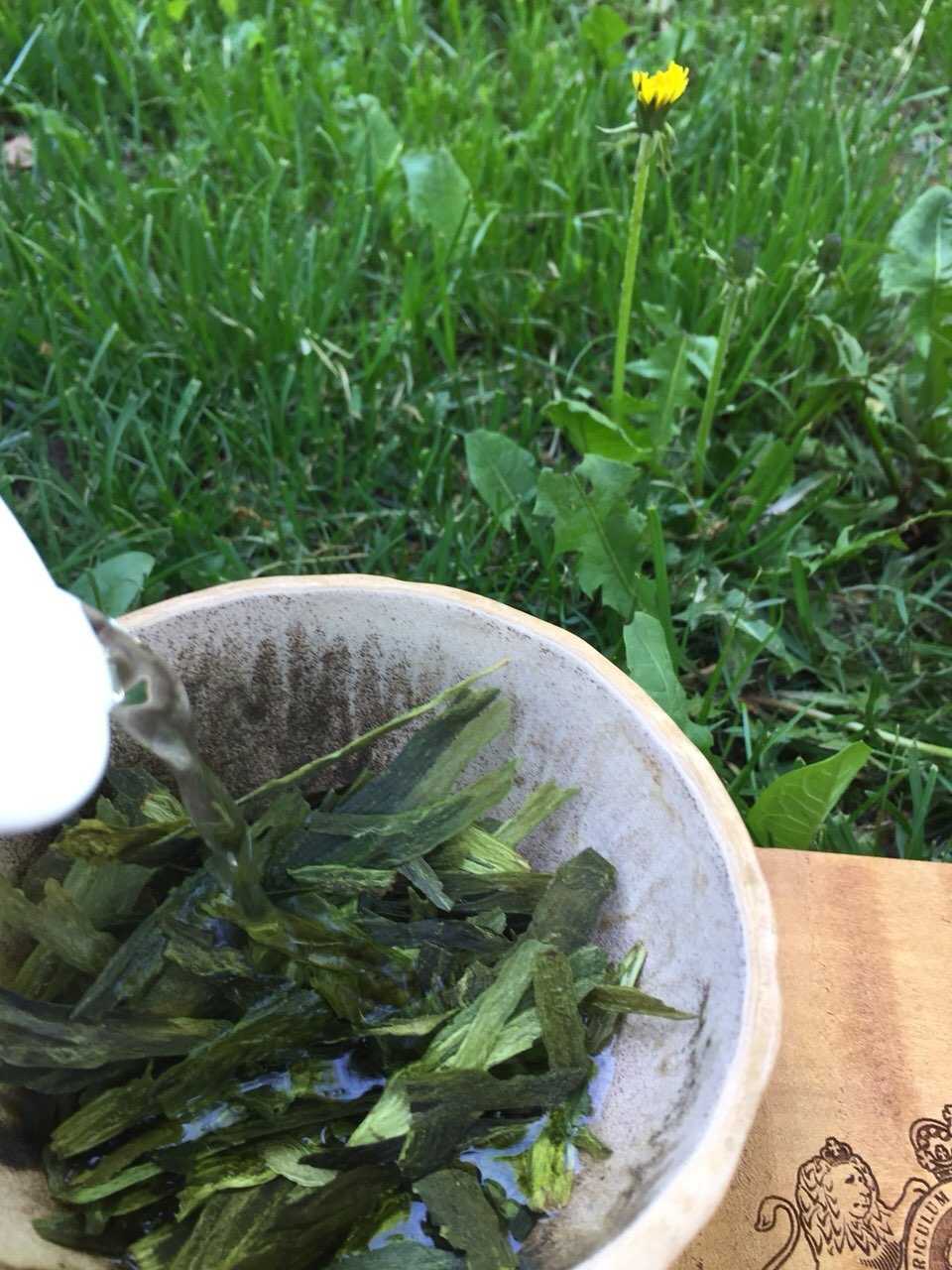 Как делают самый красивый чай Китая - Тайпин Хоукуй, или Король Обезьян?