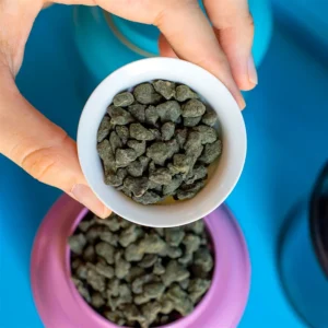 Чай Женьшень улун №209