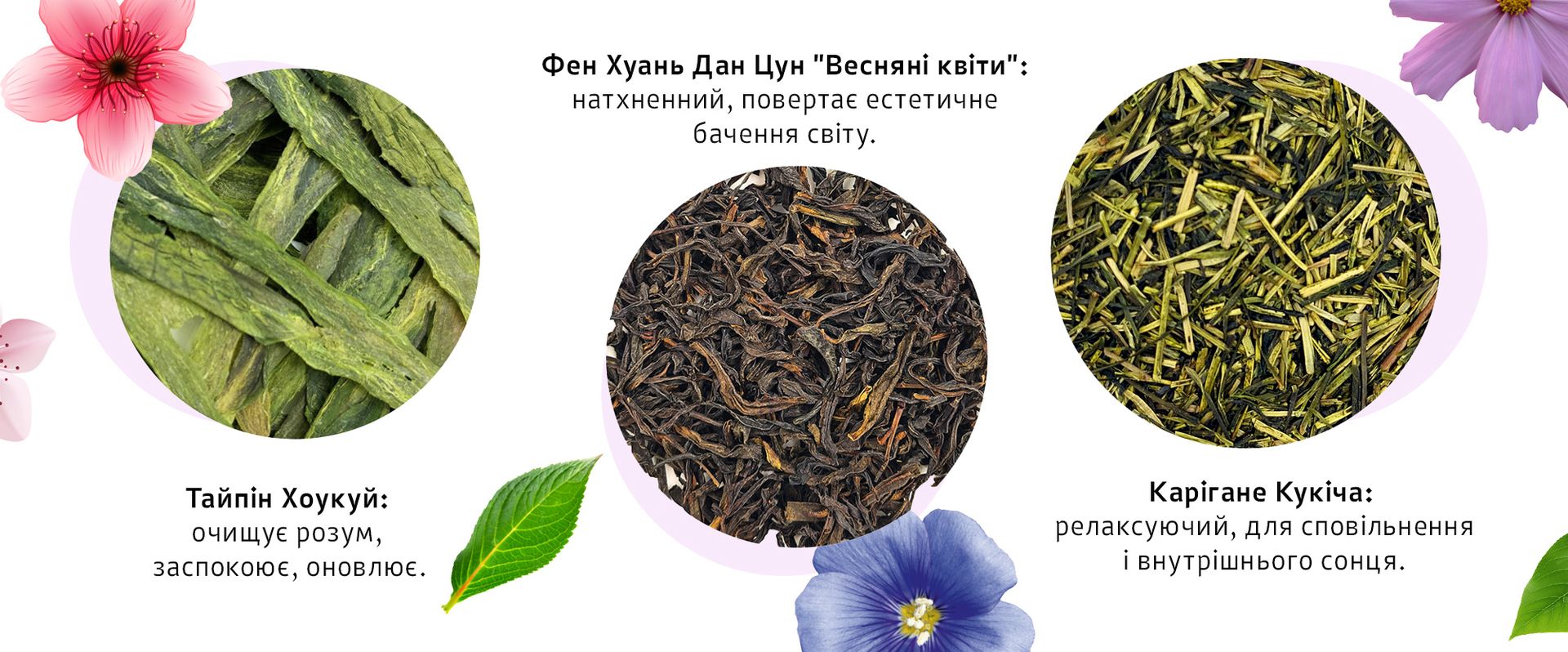 Добірка чаїв TEAHOUSE для натхненних весняних чаювань