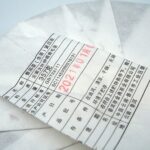 Шэн Пуэр «Водный дракон» №802 (357 г) — изображение 3