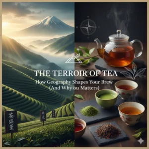 Чайний Теруар: Як географія формує смак вашого чаю (і чому це важливо)