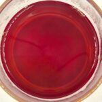 Чай Кенія СТС РD, extra strong №361 500 грамів + 20% - Зображення 4