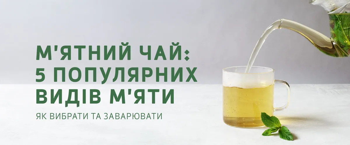 Як вибрати та заварювати м'ятний чай: 5 найпопулярніших видів м'яти у світі