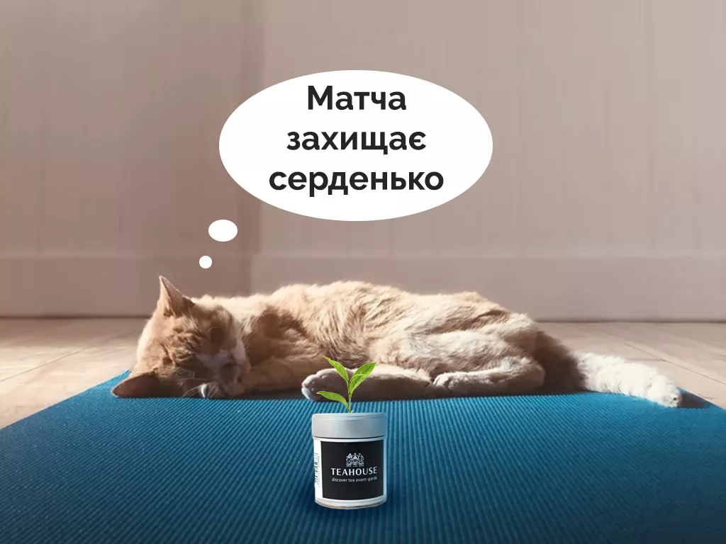 Матча польза для сердца