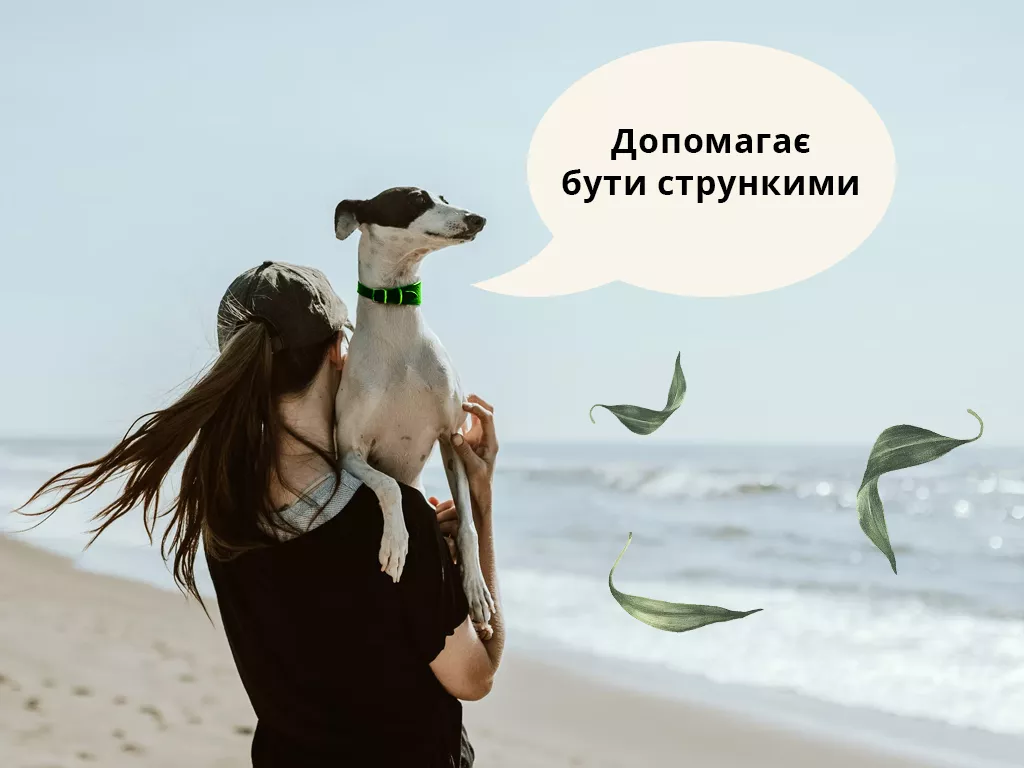 матча для похудения